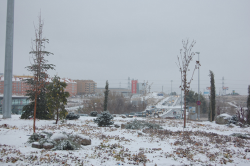 nieve5
