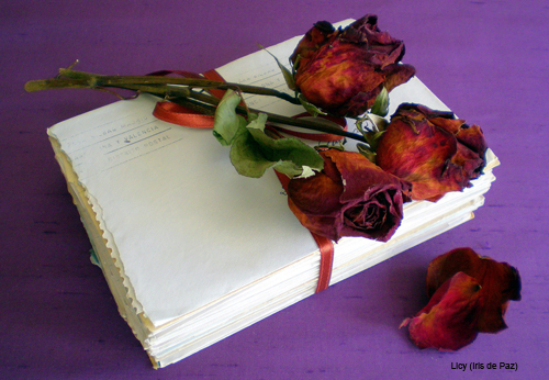 cartas1