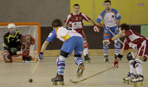 hockey2