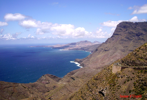 canaria2