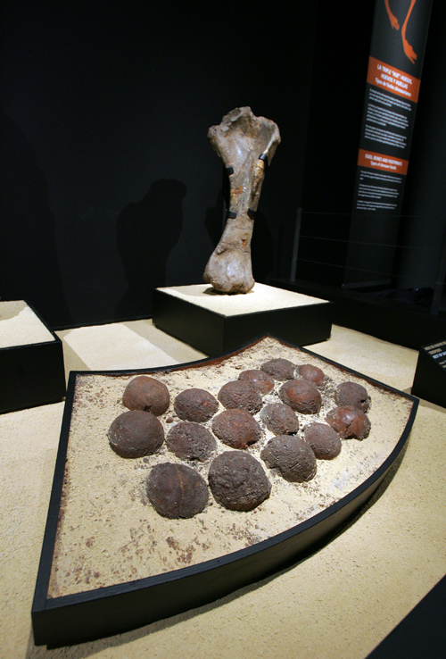 dinosaurios3