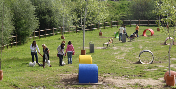 areas caninas