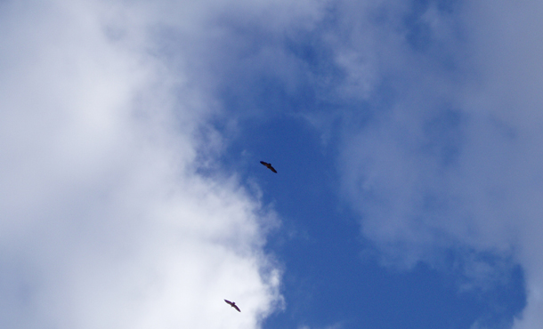 cielo nubes