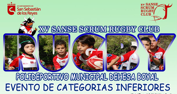 cartel rugby