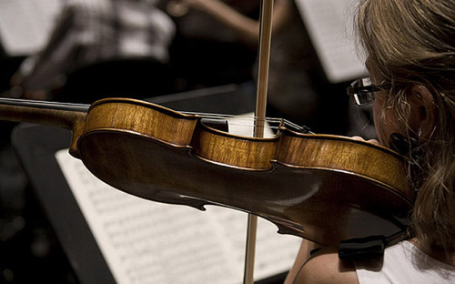 violin