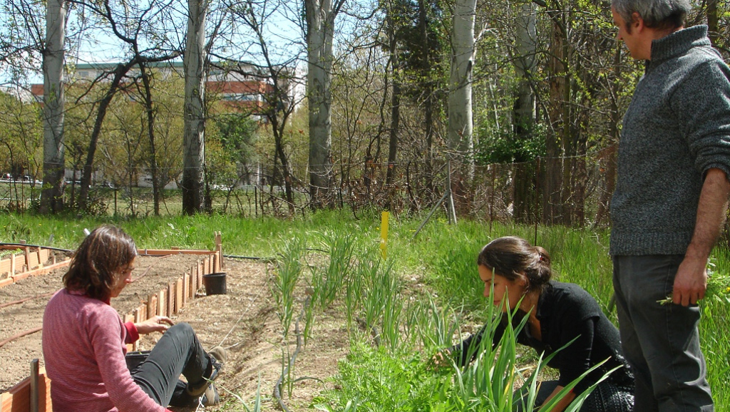 agrocomposta