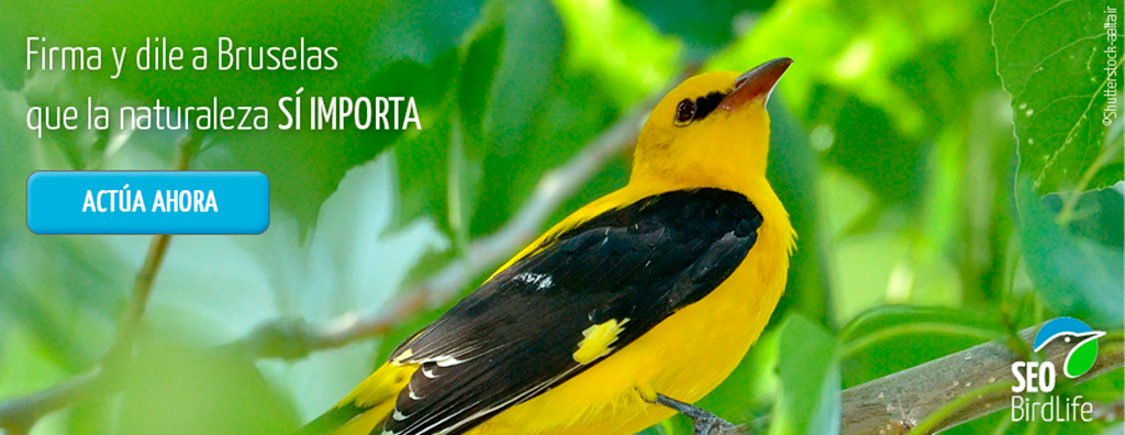 Firma-Bruselas-ONG-medioambientales-2015-naturaleza