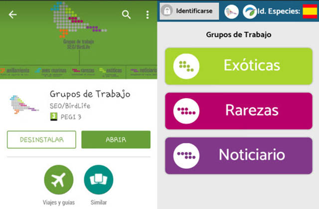 app-seo-birdLife-640
