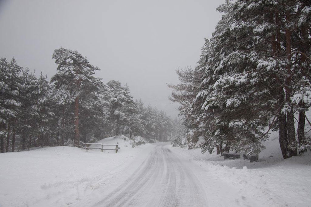 sierra_madrid_nieve_navacerrada_carretera_1024