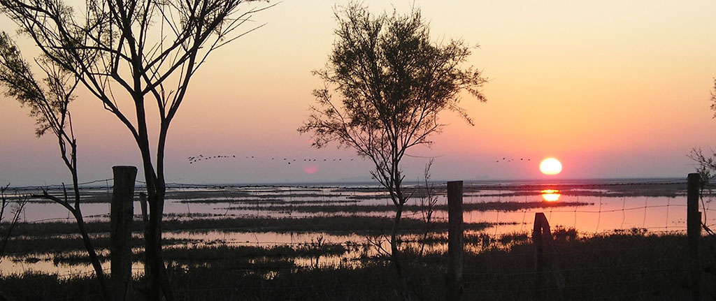 Doñana-1024