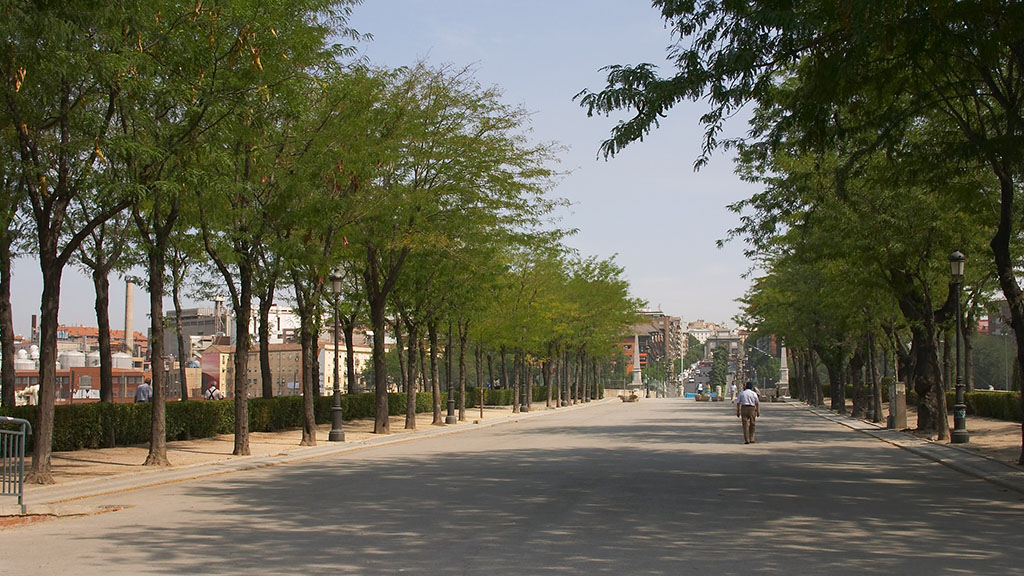 arboles-madrid-1024