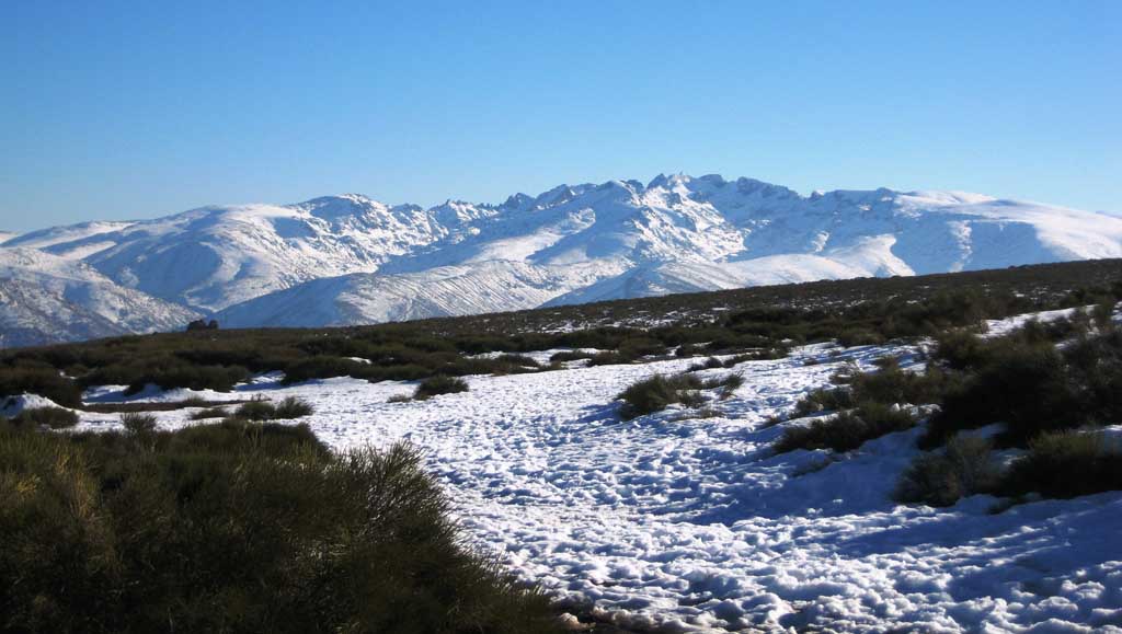 reconstrucción