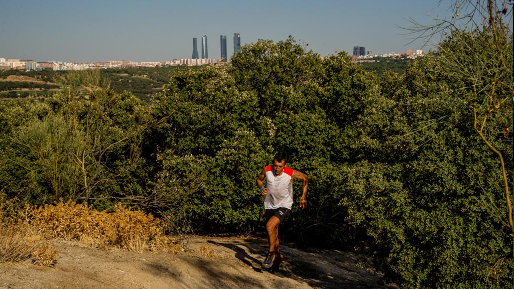 trail caser