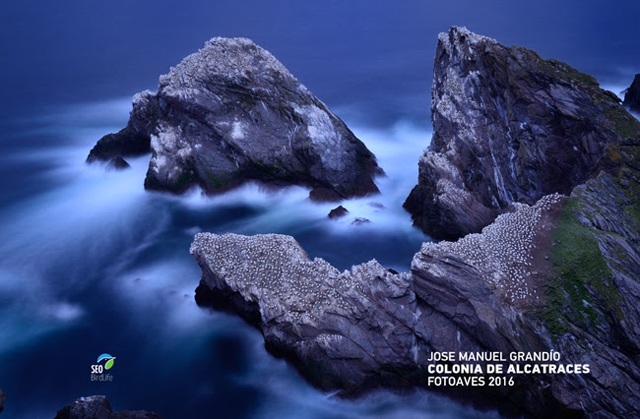 fotoaves