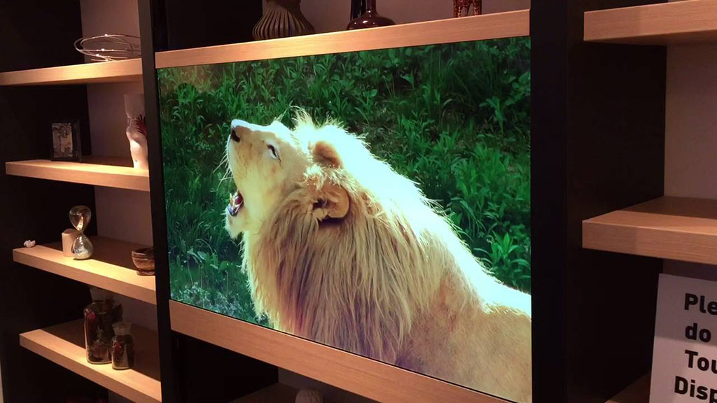 televisor-transparente-panasonic-1024