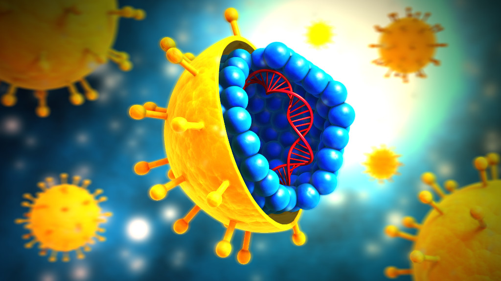 virus hepatitis