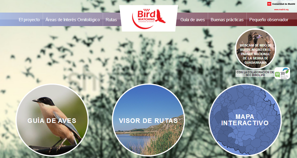 Página-web-birdwatching