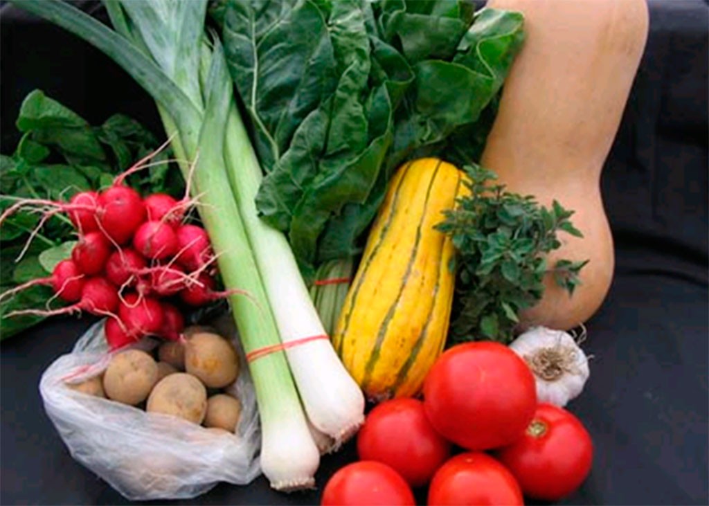 donación fruta 