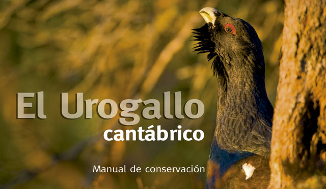 Portada-del-manual-para-la-conservación-del-urogallo-cantábrico-de-SEO-BirdLife-640