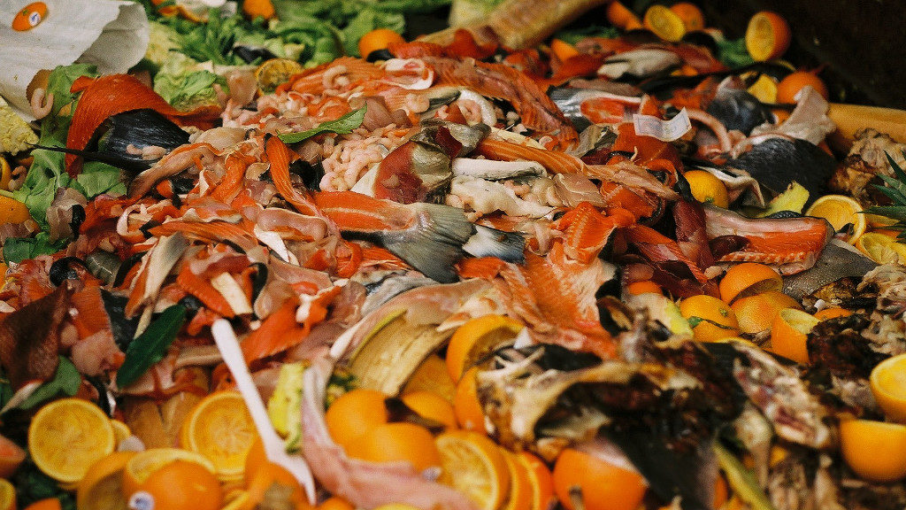 alimentos