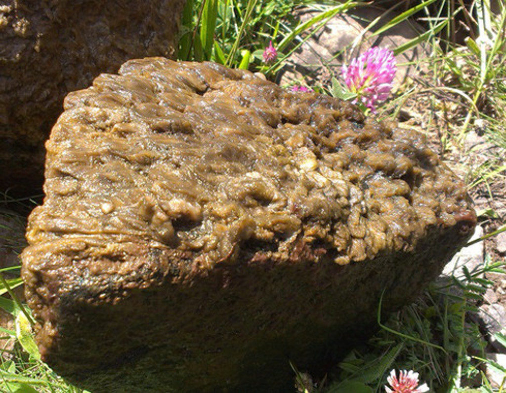 plantas invasoras 