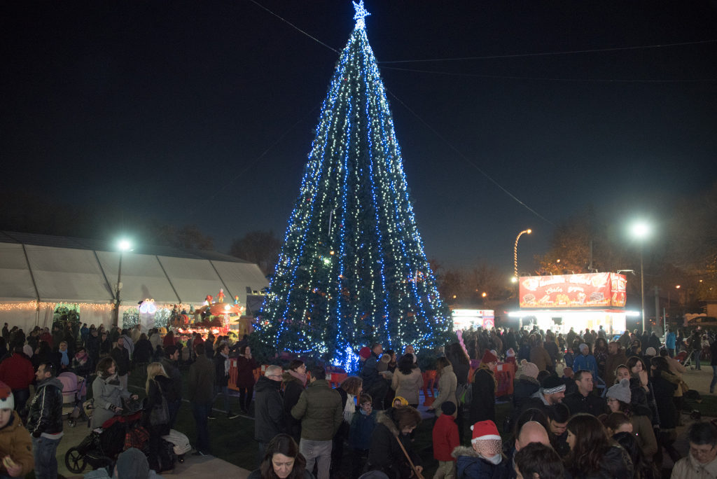 Villa Navidad
