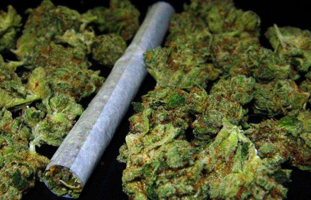cannabis