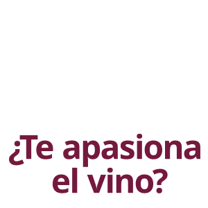 spot_img