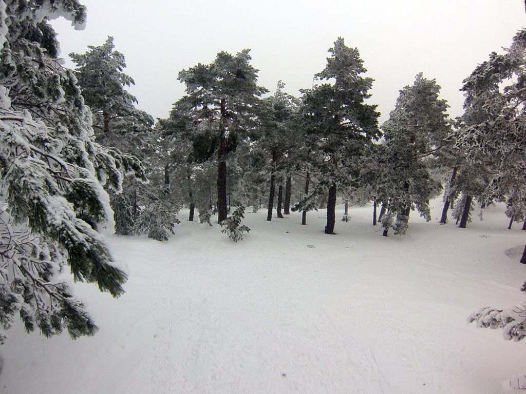 Sierra de Madrid