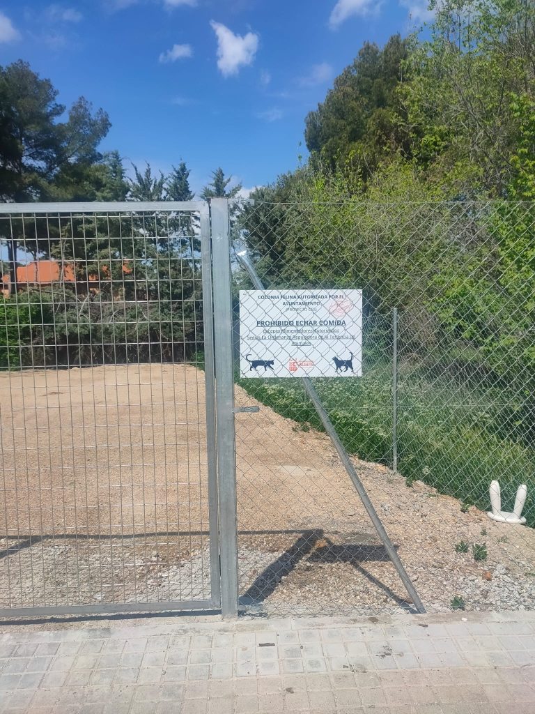 colonias felinas