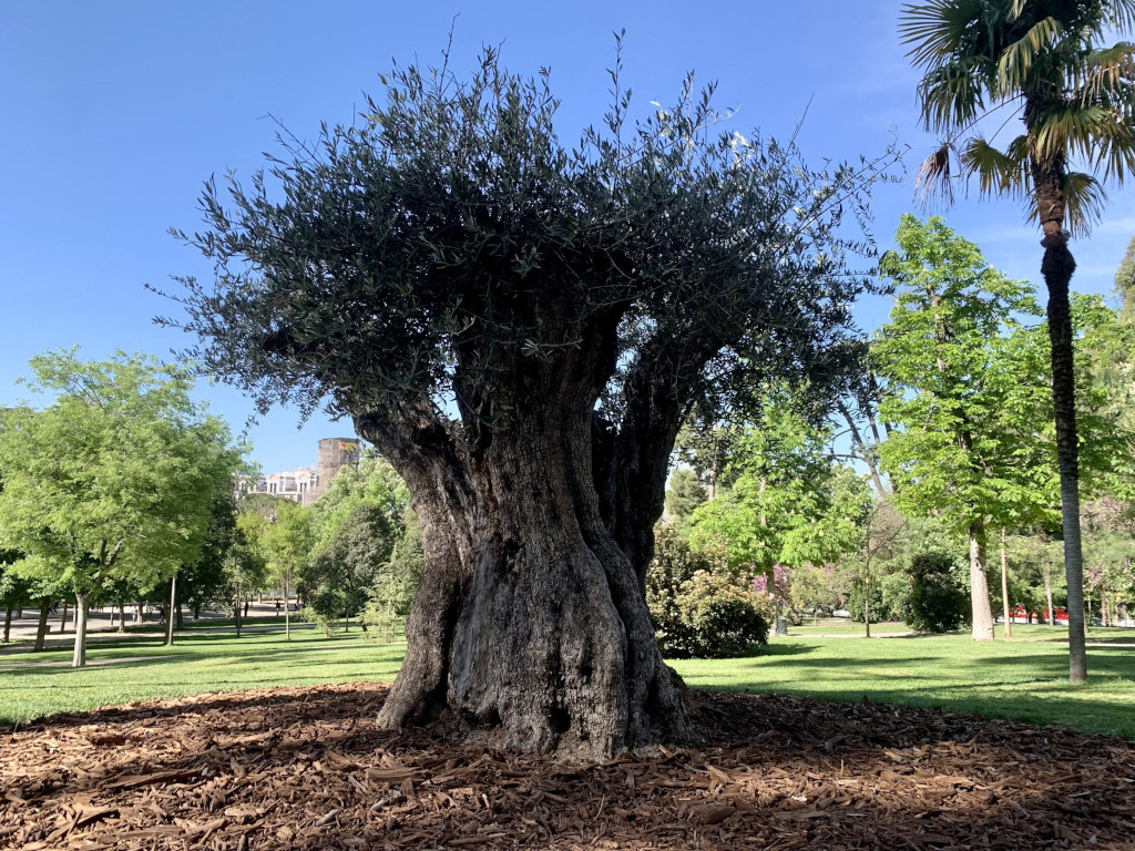 El Retiro
