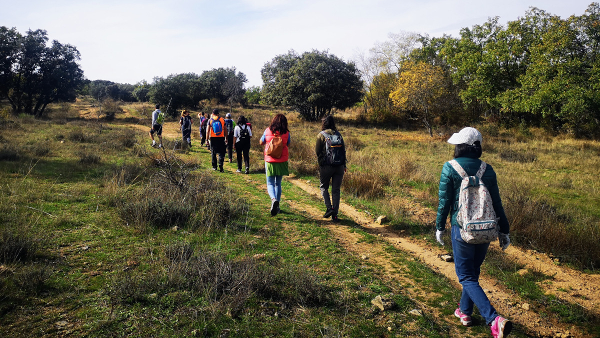 rutas