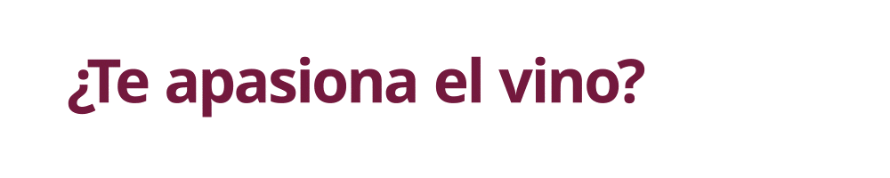 Banner publicitario